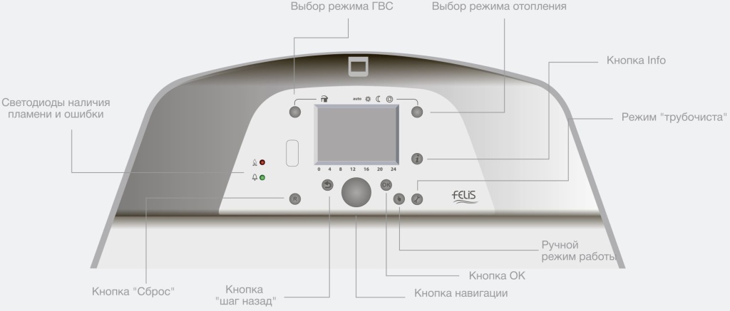 1-Felis-k.jpg